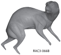 RAC3-066B